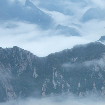 激发企业活力的免费ddos网页端
